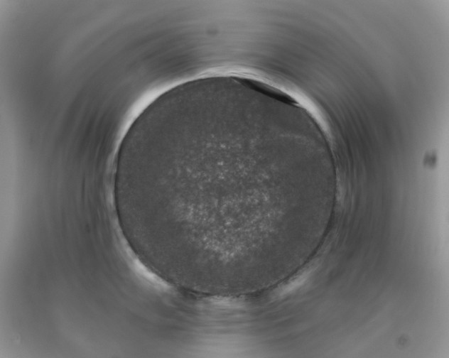 X0000091691102200709061120