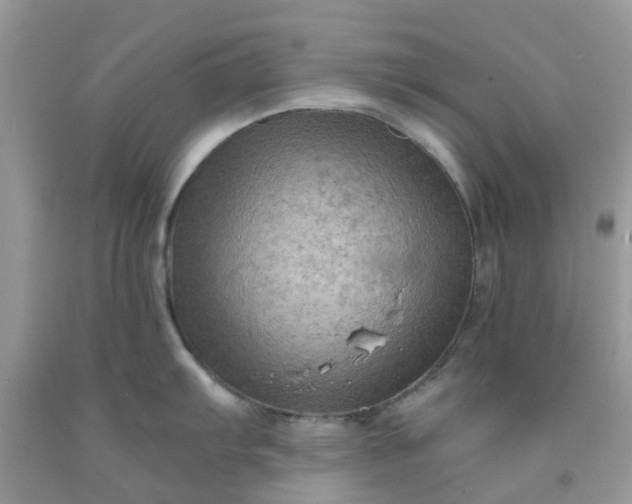 X0000091691103200709061120