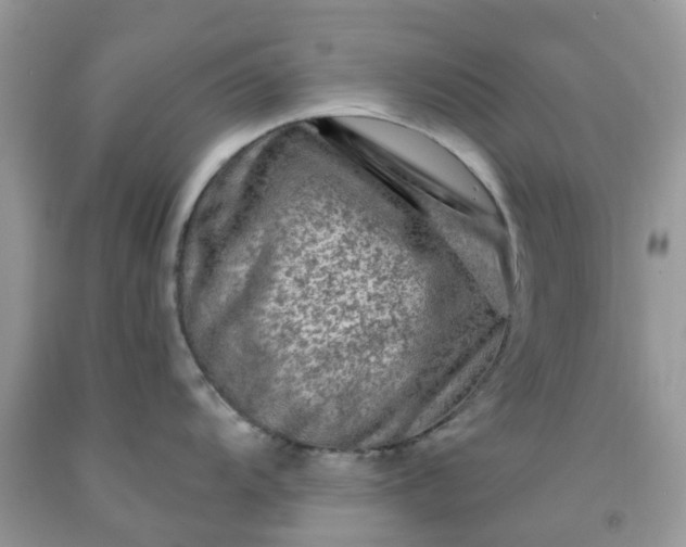 X0000091691104200709061120