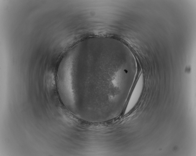 X0000091691106200709061119