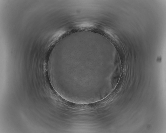 X0000091691108200709061119