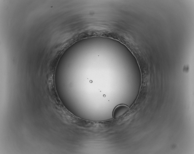 X0000091691109200709061119