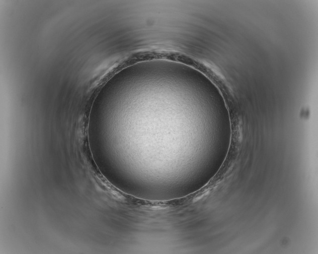 X0000091691110200709061119