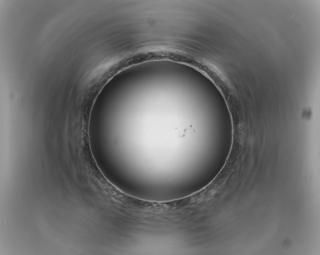 X0000091691111200709061119