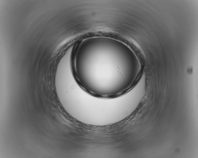 X0000091691112200709061119