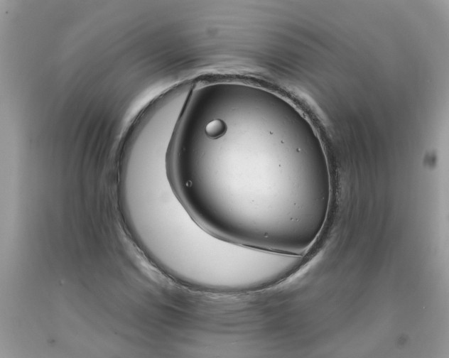 X0000091691114200709061119