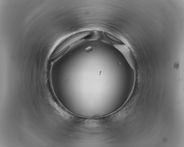 X0000091691116200709061119