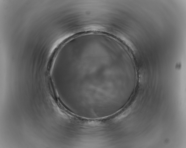 X0000091691117200709061119