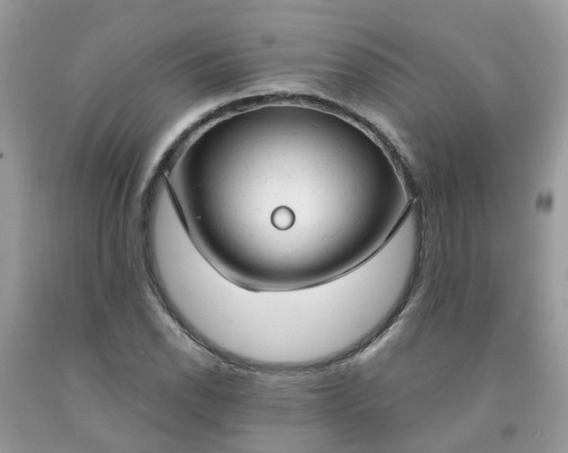 X0000091691118200709061119