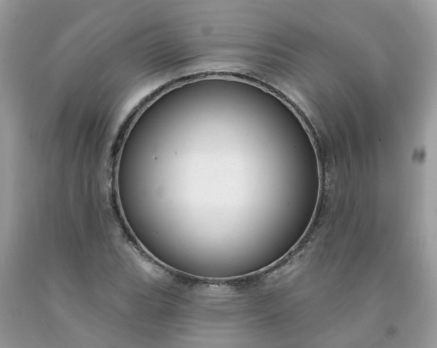 X0000091691119200709061119