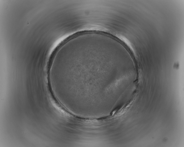 X0000091691120200709061119