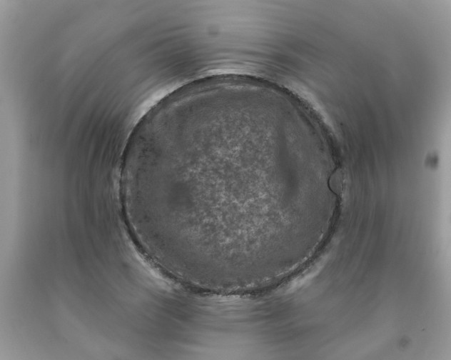 X0000091691121200709061119