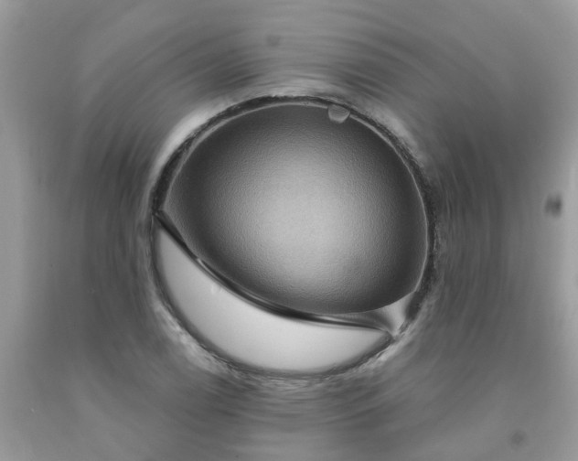 X0000091691122200709061119