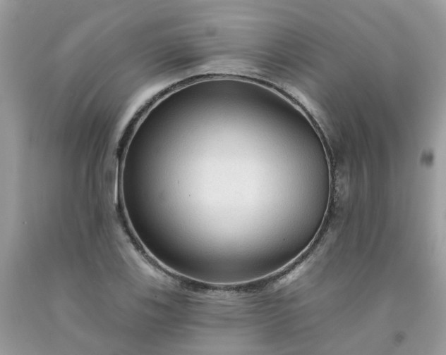 X0000091691123200709061119