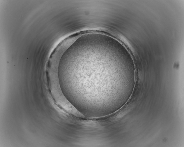 X0000091691124200709061119