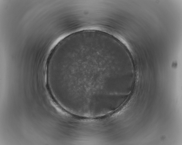 X0000091691127200709061119