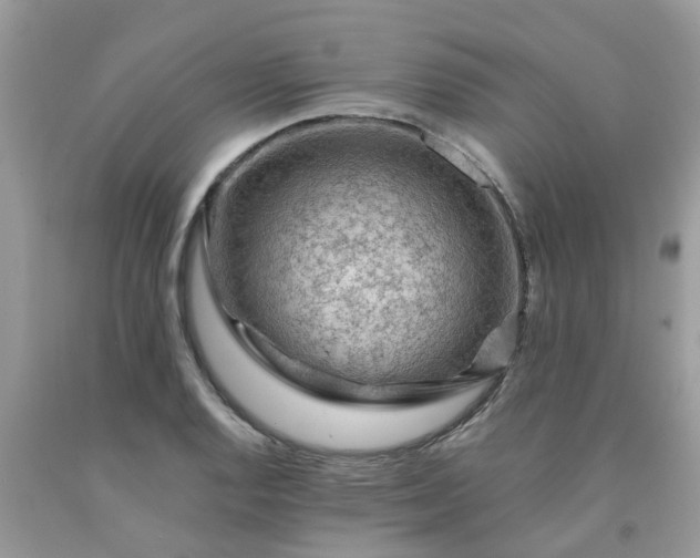 X0000091691128200709061119