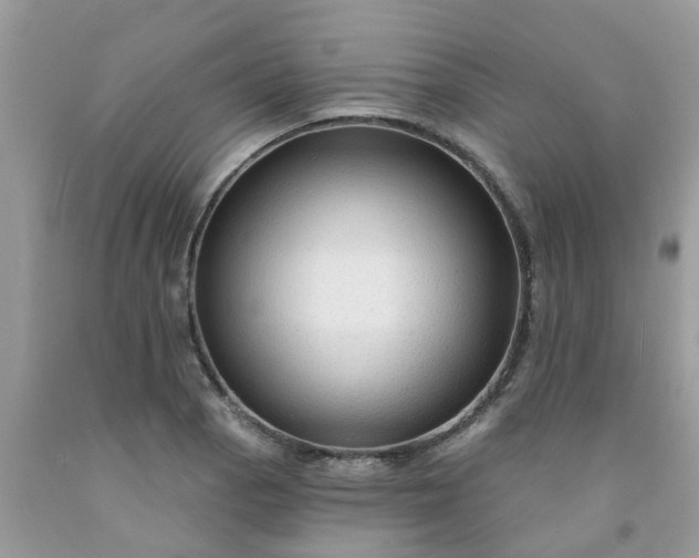 X0000091691129200709061119