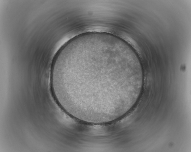 X0000091691130200709061119