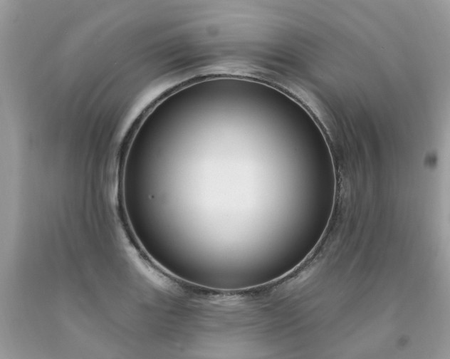 X0000091691131200709061119