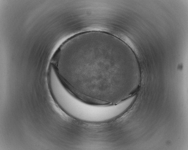 X0000091691132200709061119