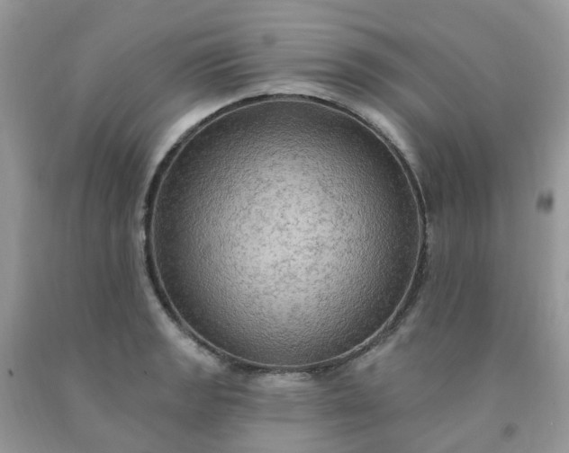 X0000091691133200709061119