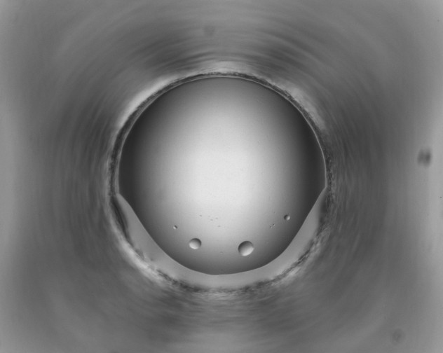 X0000091691134200709061119