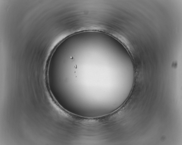 X0000091691135200709061119