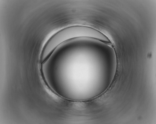 X0000091691136200709061119