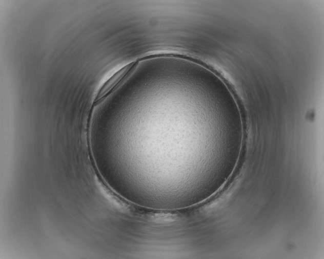 X0000091691137200709061119