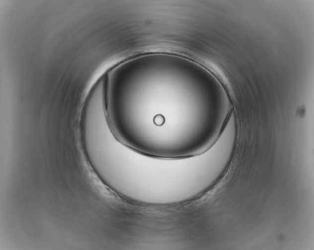 X0000091691138200709061119