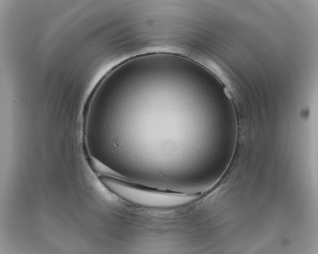 X0000091691140200709061119