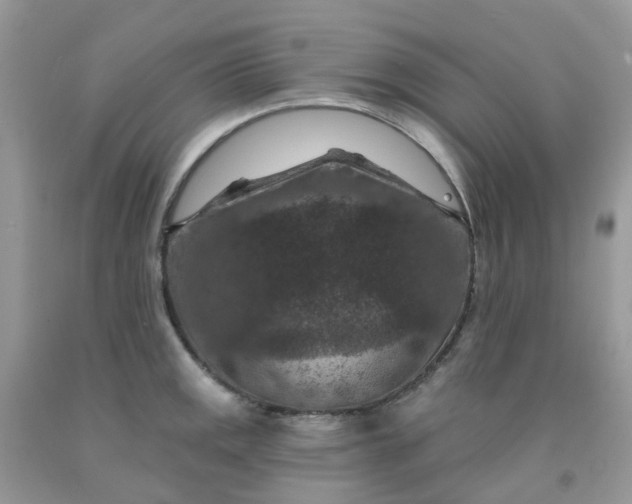 X0000091691141200709061119