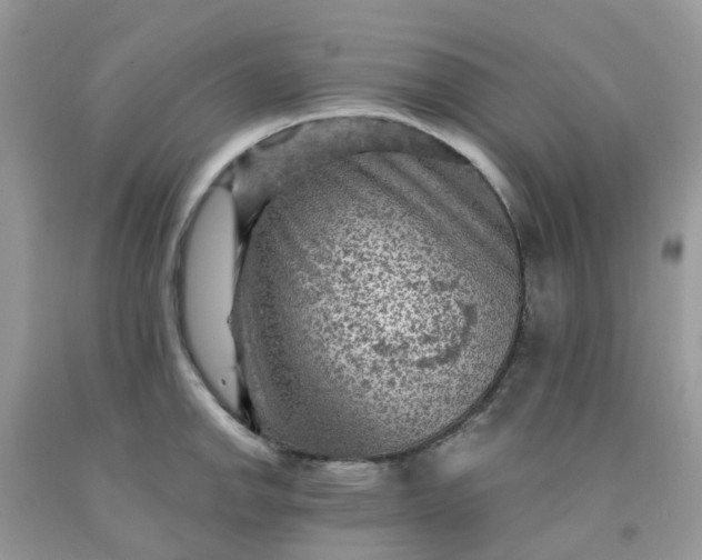 X0000091691142200709061120