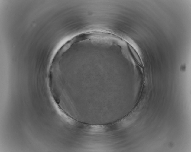 X0000091691144200709061120