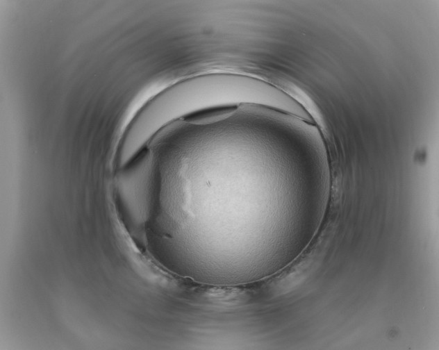 X0000091691146200709061120