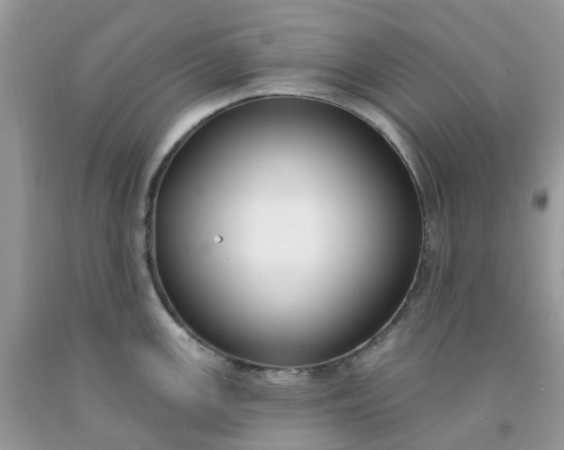 X0000091691147200709061120