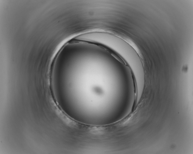 X0000091691148200709061120