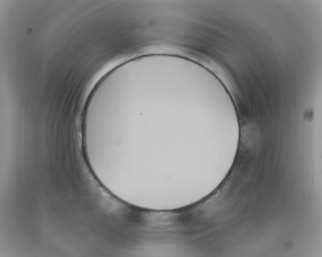 X0000091691150200709061120