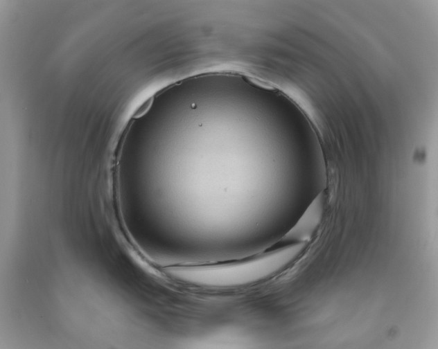 X0000091691151200709061120