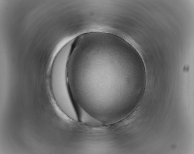 X0000091691152200709061120