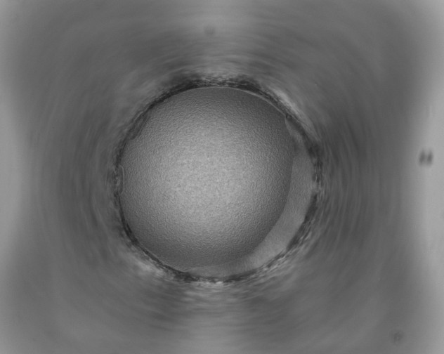 X0000091691153200709061119