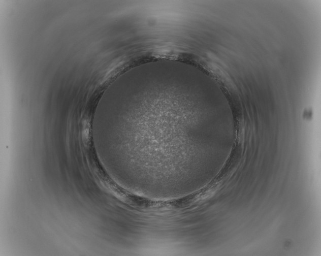 X0000091691154200709061119