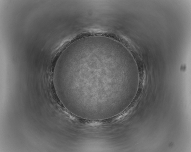 X0000091691157200709061119