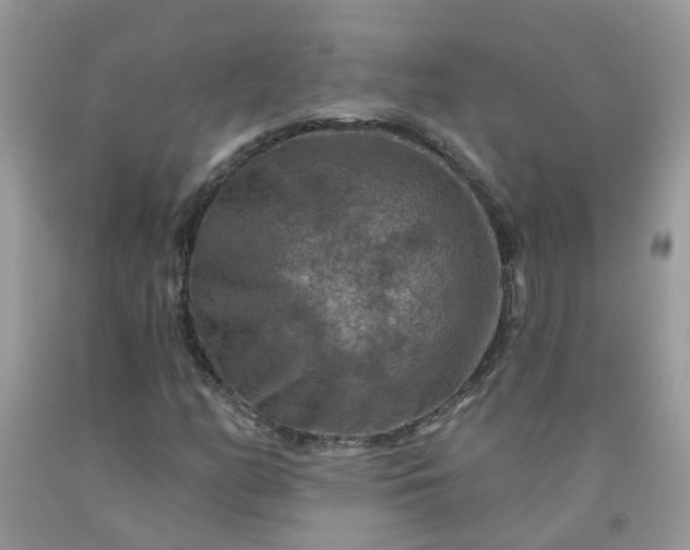 X0000091691158200709061119