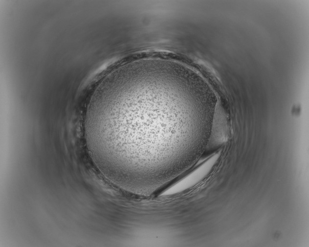 X0000091691159200709061119