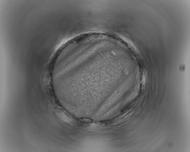 X0000091691160200709061119