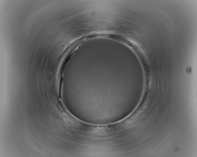 X0000091691161200709061119