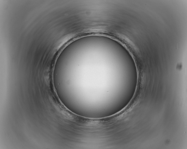 X0000091691162200709061119