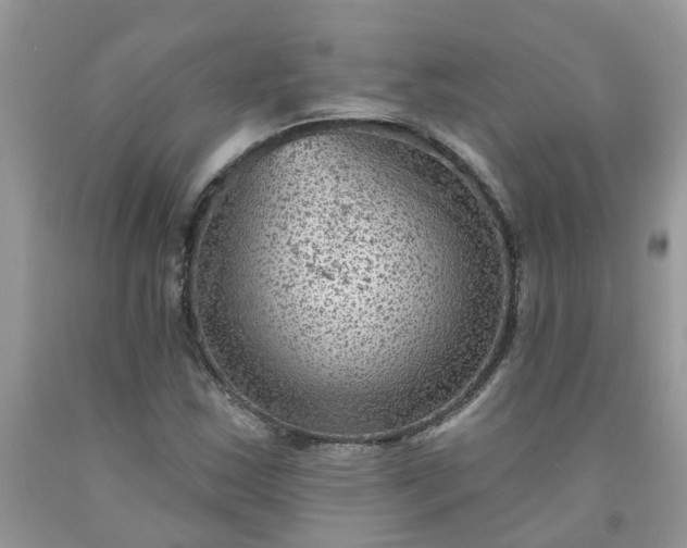 X0000091691163200709061119